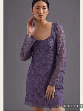 Anthropologie Maeve Embroidered Lace Mini Dress (Price Firm)